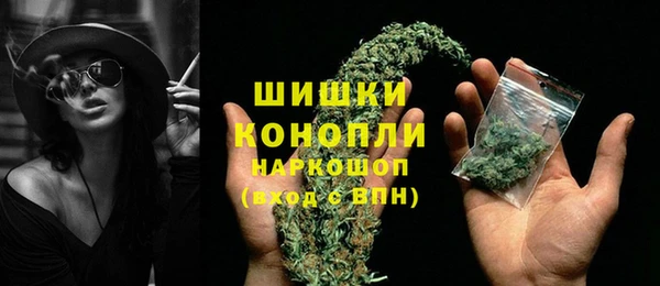 прущие грибы Осташков