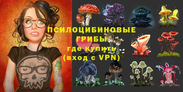 дмт Осинники
