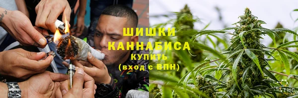 прущие грибы Осташков
