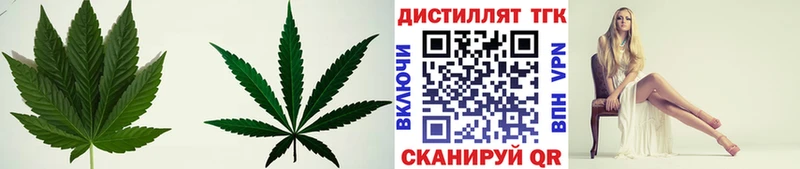 гидра tor  Сальск  Дистиллят ТГК Wax 