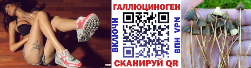 где продают   Сальск  OMG сайт  Псилоцибиновые грибы GOLDEN TEACHER 